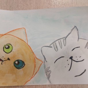Котики