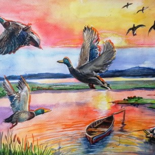 Утки прилетели