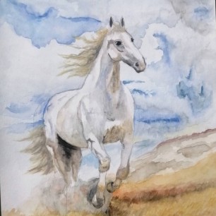 Дыхание свободы