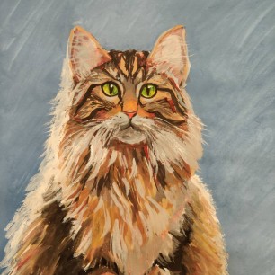 Кавказский лесной кот