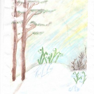 Подснежники