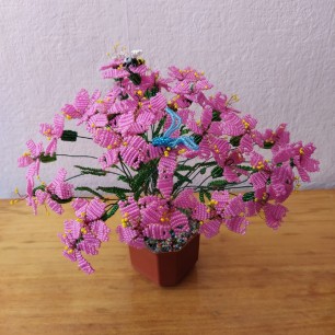 «Цветочное счастье»