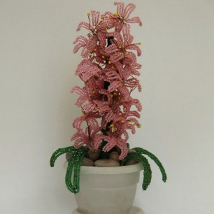 «Женский день календаря»