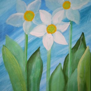 Нарциссы
