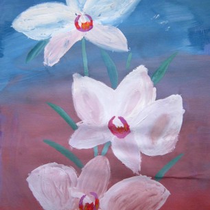 Орхидеи любимые цветы для мамы