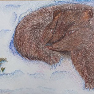 Расомаха