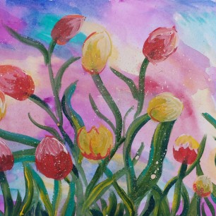 Тюльпаны