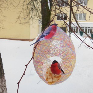 Креативная кормушка