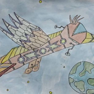 "Корабль- птица"