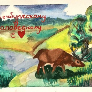 "Открытка для Оренбургского заподника"