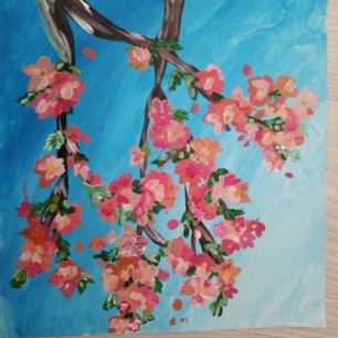 Цветение сакуры