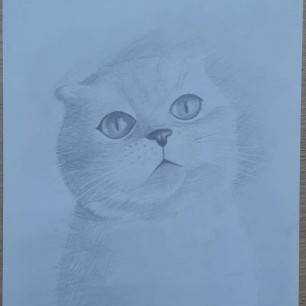 "Мой любимый котик"