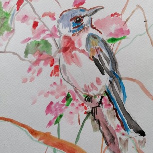 Птичка в цветнике