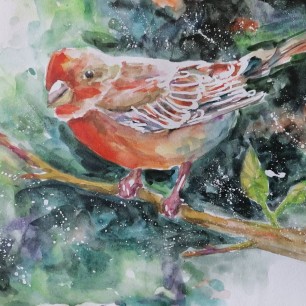 Птичка-невеличка