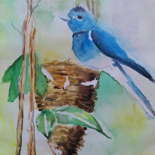 Скоро будут птенцы