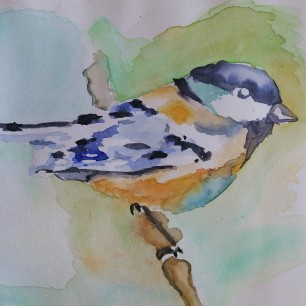 Птичка синичка