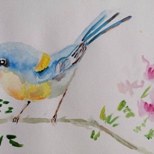 Птичка Синичка