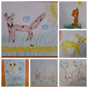 "Такие разные кошки!"