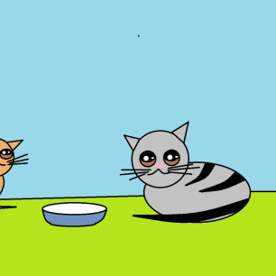 Котятки