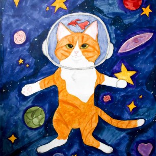 Приключения кота в невесомости