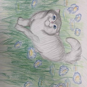 Любимый котик