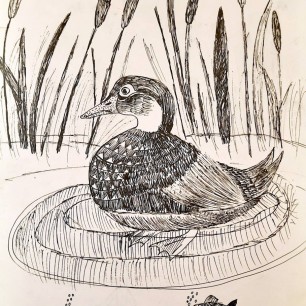 Уточка и рыбки