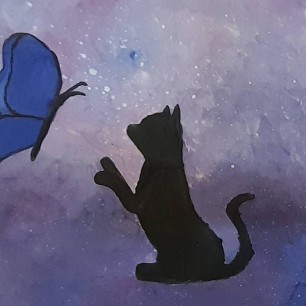 Кошачий сон