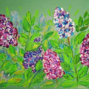 "Аромат сирени"