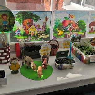 "Витаминный огород" на подоконнике