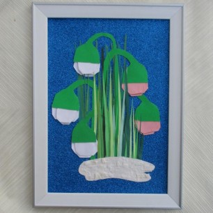 Первые красивые цветы