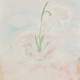 Одинокий подснежник