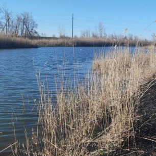 Астрахань, ерик Лопатин