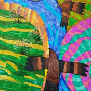 "Весна с высоты птичьего полёта"