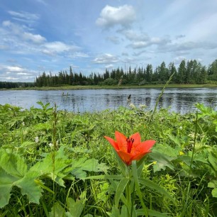 "На берегу речки Пеледуйка"