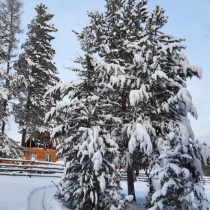 "Зимняя сказка"