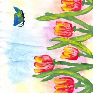 Тюльпаны