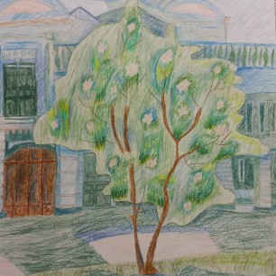 Весна в моем городе