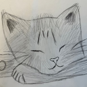 Милый котик