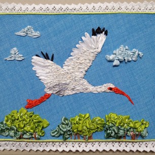 Полёт красноногого ибиса