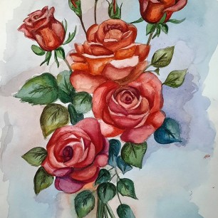 Розы