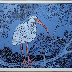 Красноногий ибис