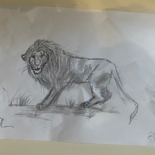 Царь зверей.