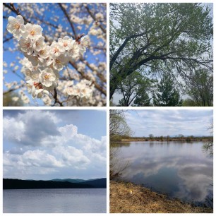 Время весны