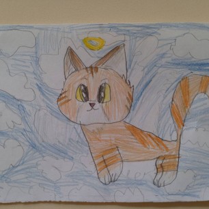 Кошка Муся
