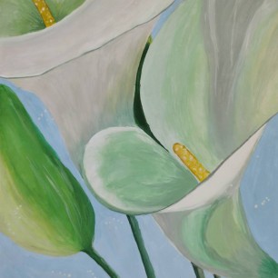 "Цветы Каллы"