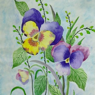 "Анютины глазки"