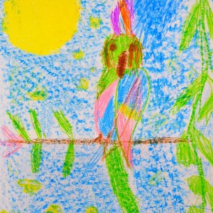 " Попугайчик"