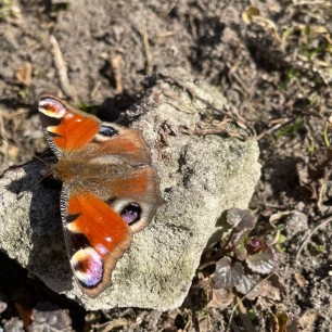 Проснулась!