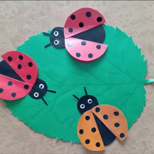 "Забавные божьи коровки"