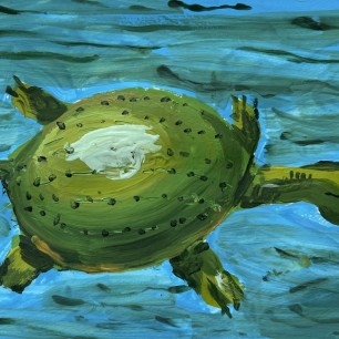 Дальневосточная черепаха